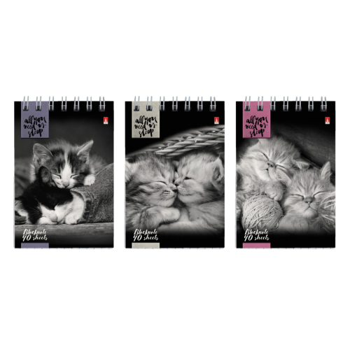 Блокнот А7 40л спираль Кошачий взгляд 3-40-007Д Альт