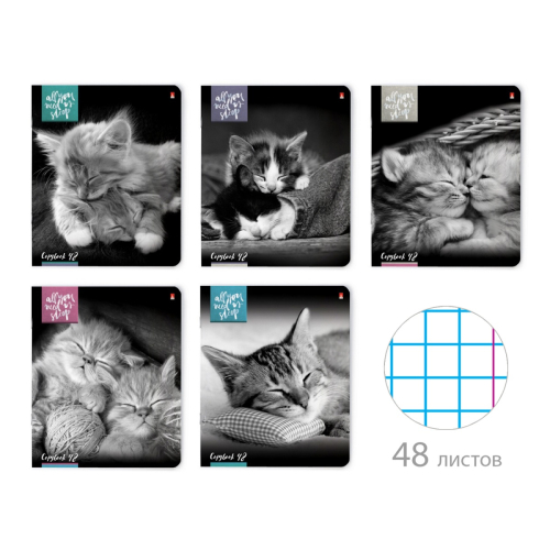 Тетрадь 48л рис Котята Мур-Мур 7-48-611 Альт
