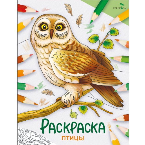 Окружающий мир. Раскраска. Птицы