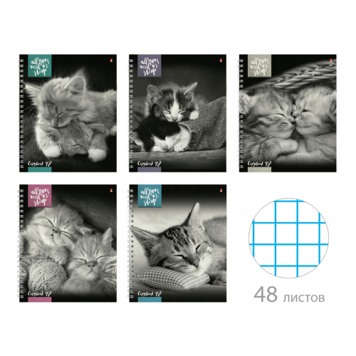 Тетрадь 48л спираль Котята Мур-Мур 7-48-1220 Альт