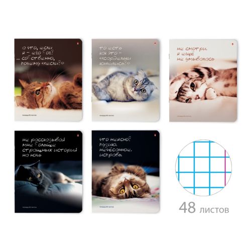 Тетрадь 48л рис Кошачьи Мечты 7-48-381 Альт