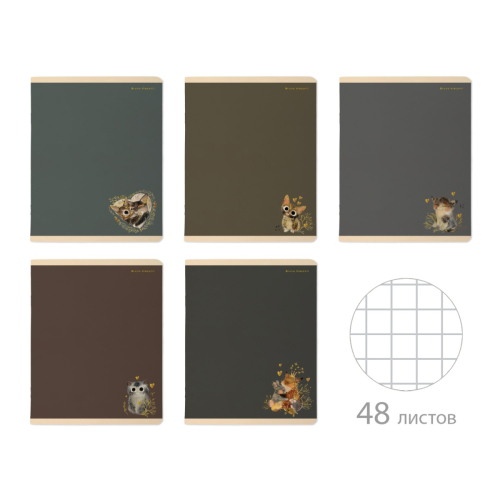 Тетрадь А5 48л однот Love me Morandi 7-48-1368 Альт