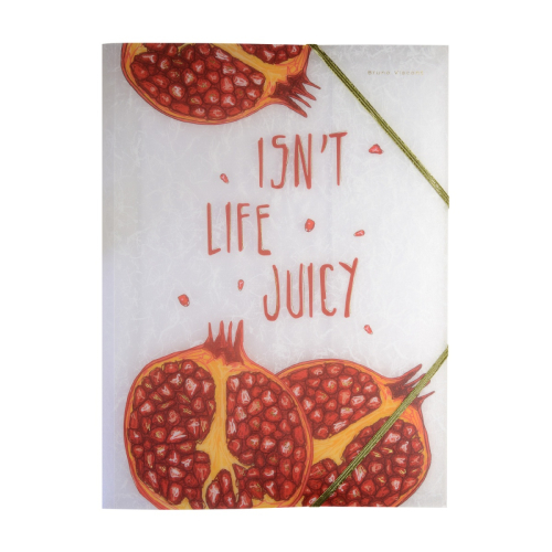 Папка на резинках Альт 14-033/05 Фрукты