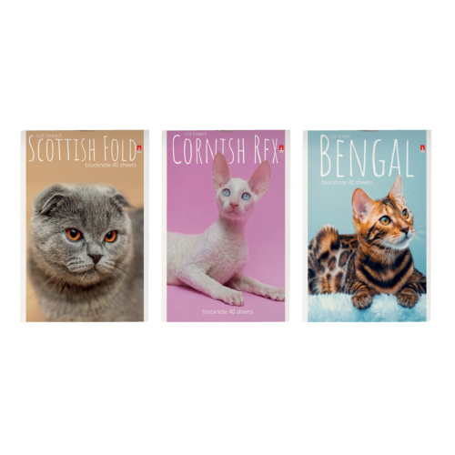 Блокнот А6 40л Котята  3-40-110Д  Альт