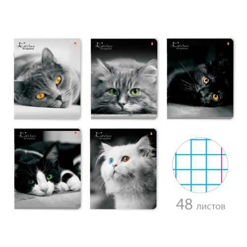 Тетрадь 48л рис Кошки 7-48-1019 Альт
