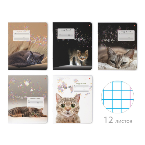 Тетрадь 12л кл рис Удивительные Котята 7-12-475/1 Альт
