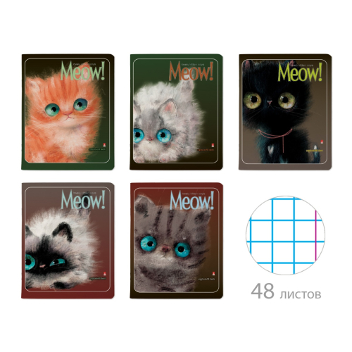 Тетрадь 48л рис Kitty Life 7-48-1184 Альт