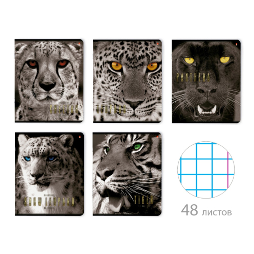 Тетрадь 48л рис Большие кошки 7-48-366 Альт