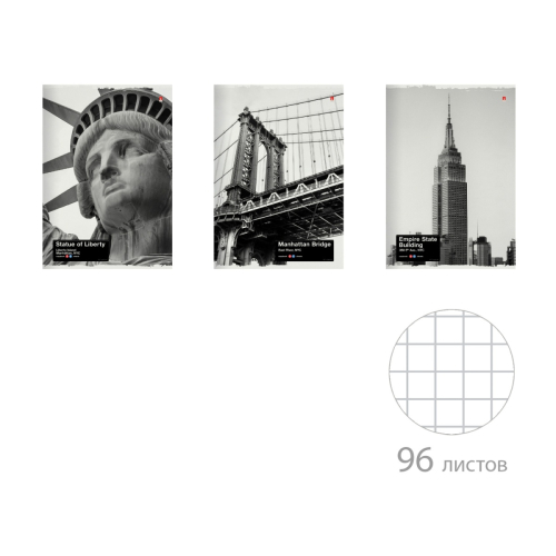 Тетрадь А4 96л Nyny 7-96-1217 Альт