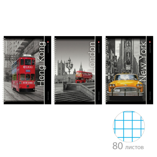 Тетрадь А4 80л спираль Города 7-80-001 Альт