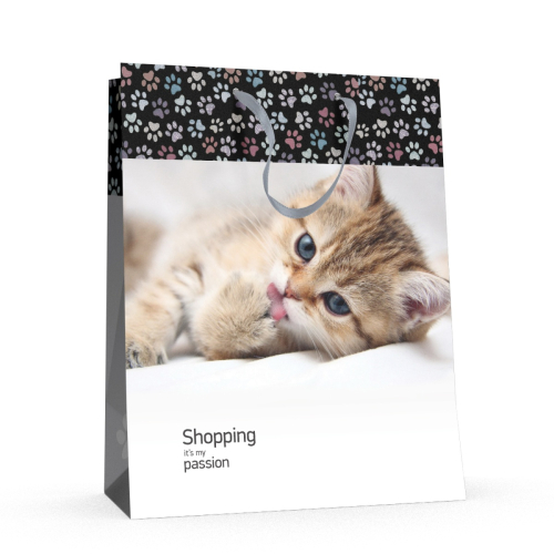 Пакет бумажный 26*32.5*13 2-321/03 Альт Котенок