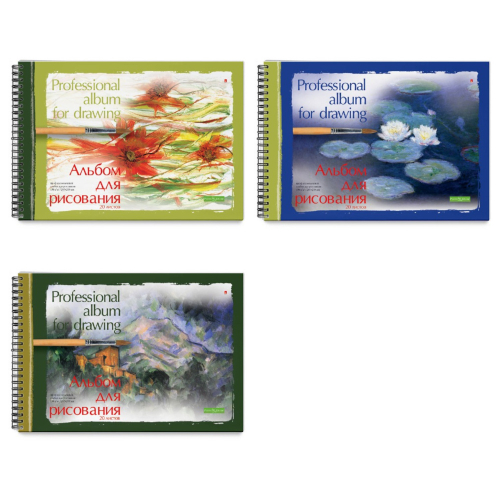 Альбом д/рисования проф 20л спираль Альт-Канц 1-20-198