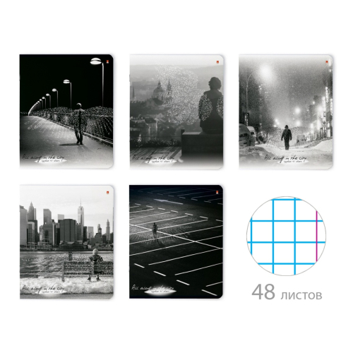 Тетрадь 48л рис Город ангелов 7-48-821 Альт софт тач