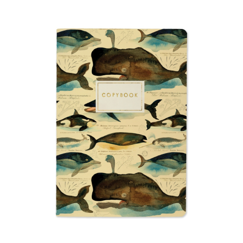 Тетрадь А5 40л Киты 7-40-001/63 Bruno Visconti