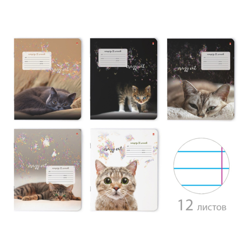 Тетрадь 12л лин рис Удивительные Котята 7-12-475/2 Альт