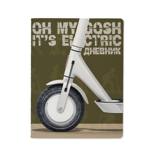 Дневник м/о Самокат 10-160/17 Альт