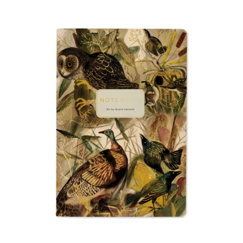 Тетрадь А5 40л Fauna Птицы 7-40-001/163 BV