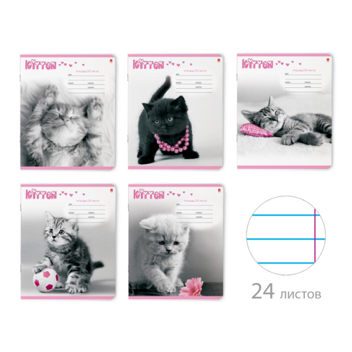 Тетрадь 24л лин рис Котята Щенята 7-24-251/2 Д Альт