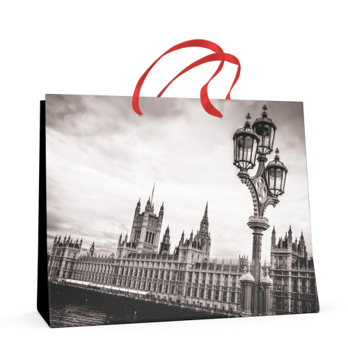 Пакет бумажный 32,5*26,0*13,0 2-108/4 BV Города